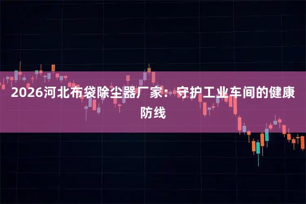 2026河北布袋除尘器厂家：守护工业车间的健康防线